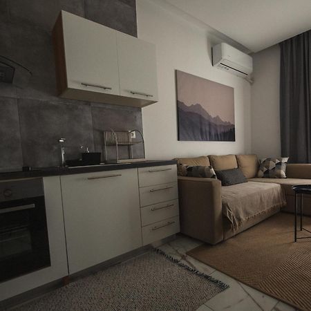 Luxury Apartment In The Center Of Ioannina City Dış mekan fotoğraf